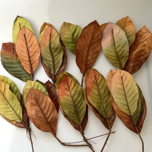 DIY MAGNOILA BIG LEAVES  18 COUNT - Picture 4 of 11